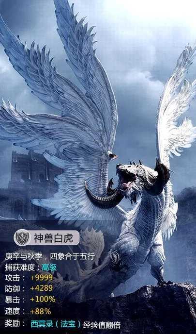 小猫钓鱼游戏龙王版有船